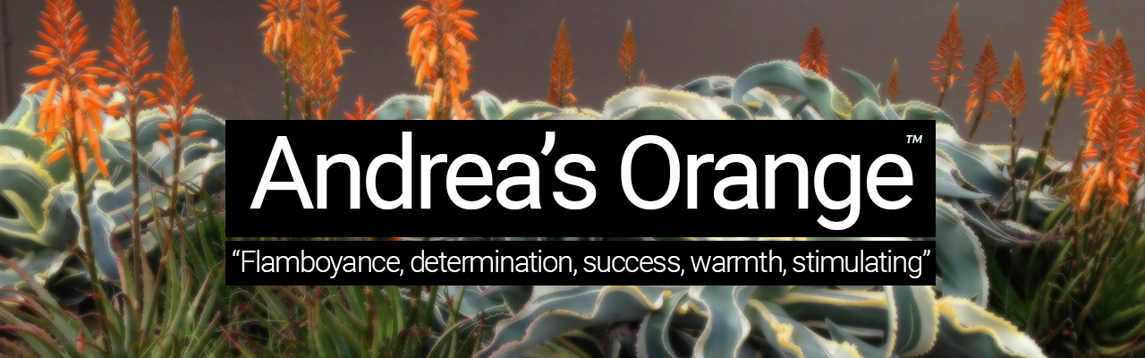 Andreas Orange - Flamboyance, determination, success, warmth, stimulating