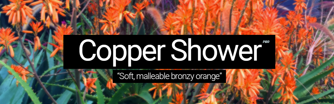 Copper Shower - Soft, malleable bronzy orange