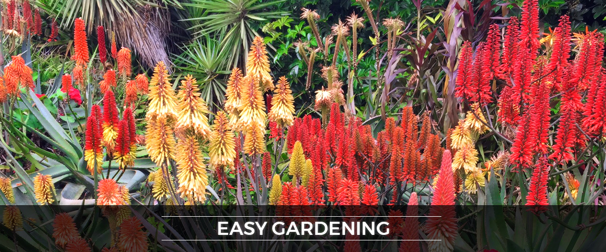 easy gardening